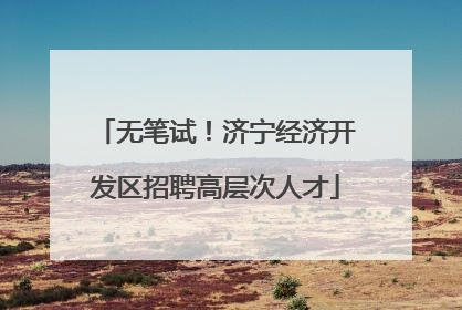 无笔试！济宁经济开发区招聘高层次人才