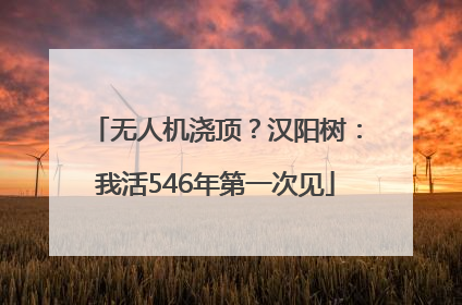 无人机浇顶？汉阳树：我活546年第一次见