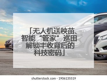无人机送秧苗、智能“管家”巡田 解锁丰收背后的科技密码
