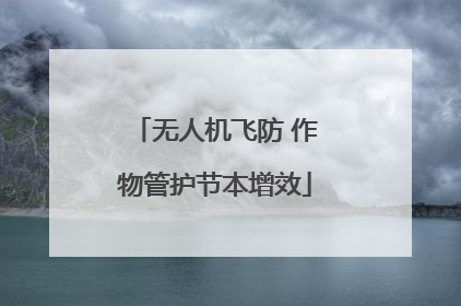 无人机飞防 作物管护节本增效