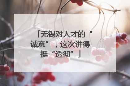 无锡对人才的“诚意”，这次讲得挺“透彻”