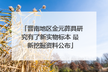 晋南地区金元葬具研究有了新实物标本 最新挖掘资料公布