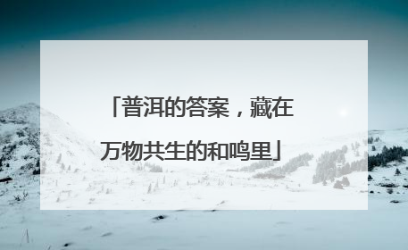 普洱的答案，藏在万物共生的和鸣里