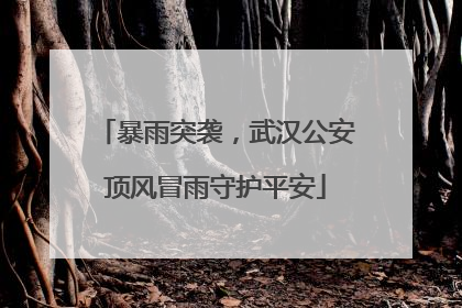 暴雨突袭，武汉公安顶风冒雨守护平安