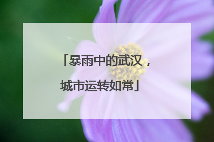 暴雨中的武汉，城市运转如常