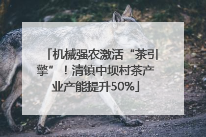 机械强农激活“茶引擎”！清镇中坝村茶产业产能提升50%