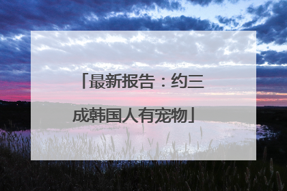 最新报告：约三成韩国人有宠物