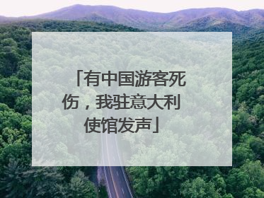 有中国游客死伤，我驻意大利使馆发声