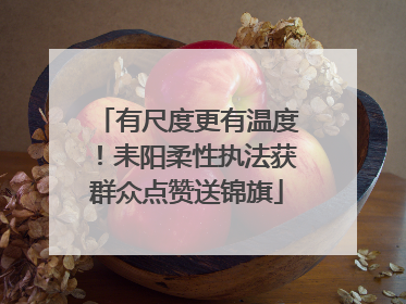 有尺度更有温度！耒阳柔性执法获群众点赞送锦旗