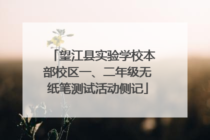 望江县实验学校本部校区一、二年级无纸笔测试活动侧记