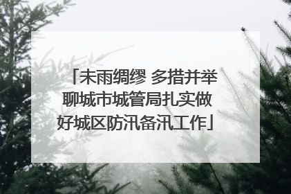 未雨绸缪 多措并举 聊城市城管局扎实做好城区防汛备汛工作