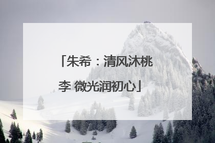 朱希：清风沐桃李 微光润初心
