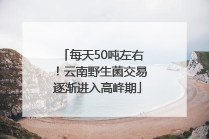 每天50吨左右！云南野生菌交易逐渐进入高峰期