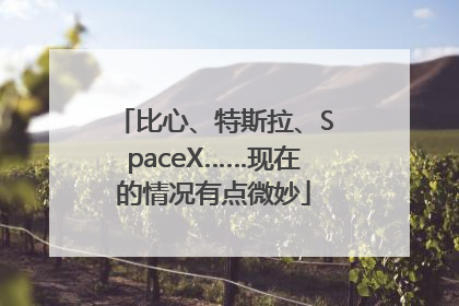 比心、特斯拉、SpaceX……现在的情况有点微妙