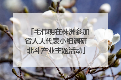 毛伟明在株洲参加省人大代表小组调研北斗产业主题活动