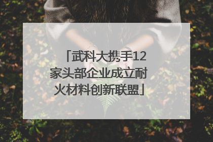 武科大携手12家头部企业成立耐火材料创新联盟