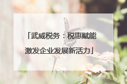 武威税务：税惠赋能 激发企业发展新活力