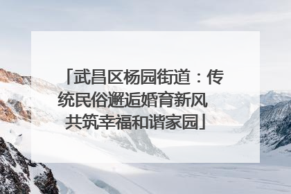 武昌区杨园街道：传统民俗邂逅婚育新风 共筑幸福和谐家园