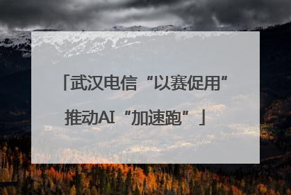 武汉电信“以赛促用”推动AI“加速跑”