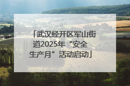 武汉经开区军山街道2025年“安全生产月”活动启动