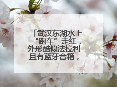 武汉东湖水上“跑车”走红，外形酷似法拉利且有蓝牙音箱，负责人：高峰期一两百人排队