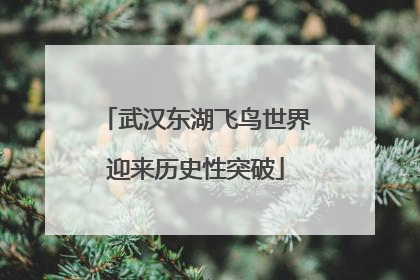 武汉东湖飞鸟世界迎来历史性突破