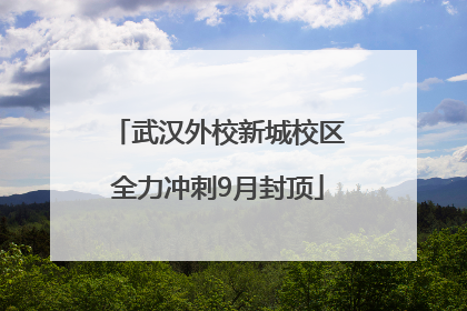 武汉外校新城校区全力冲刺9月封顶