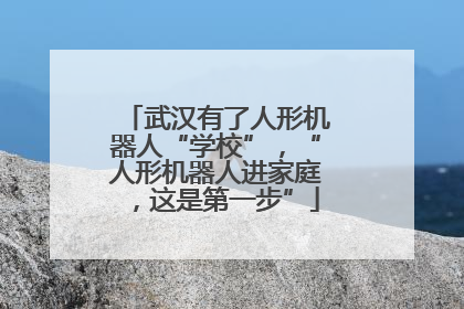 武汉有了人形机器人“学校”，“人形机器人进家庭，这是第一步”