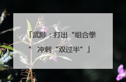 武陟：打出“组合拳” 冲刺“双过半”