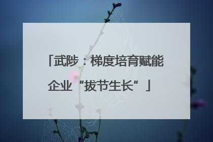 武陟：梯度培育赋能企业“拔节生长”