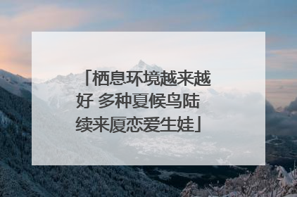 栖息环境越来越好 多种夏候鸟陆续来厦恋爱生娃