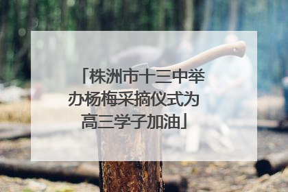 株洲市十三中举办杨梅采摘仪式为高三学子加油
