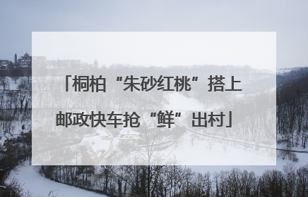 桐柏“朱砂红桃”搭上邮政快车抢“鲜”出村