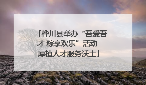 桦川县举办“吾爱吾才 粽享欢乐”活动 厚植人才服务沃土
