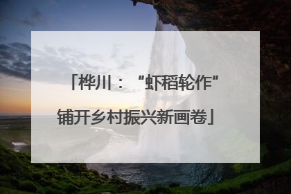 桦川：“虾稻轮作”铺开乡村振兴新画卷