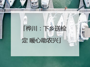 桦川：下乡送检定 暖心助农兴