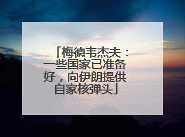 梅德韦杰夫：一些国家已准备好，向伊朗提供自家核弹头