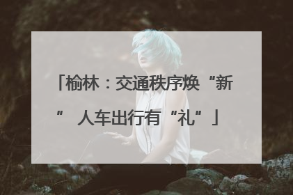 榆林：交通秩序焕“新” 人车出行有“礼”
