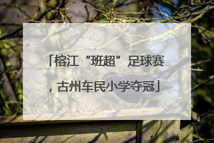 榕江“班超”足球赛，古州车民小学夺冠