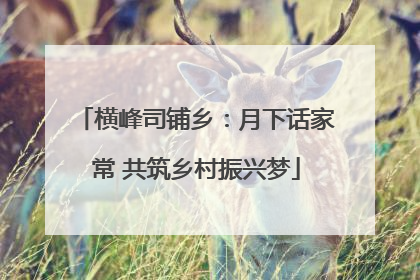 横峰司铺乡：月下话家常 共筑乡村振兴梦