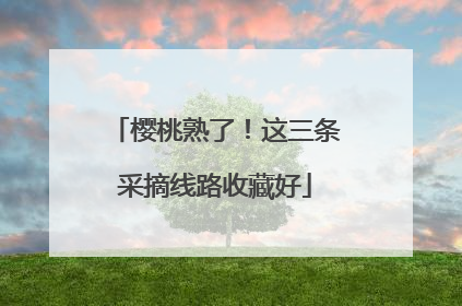 樱桃熟了！这三条采摘线路收藏好
