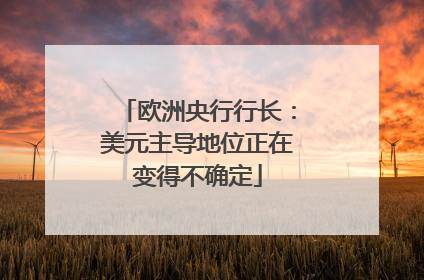 欧洲央行行长：美元主导地位正在变得不确定