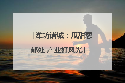 潍坊诸城：瓜甜葱郁处 产业好风光