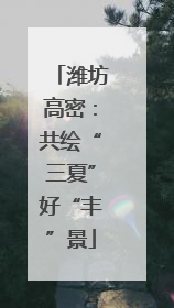 潍坊高密：共绘“三夏”好“丰”景