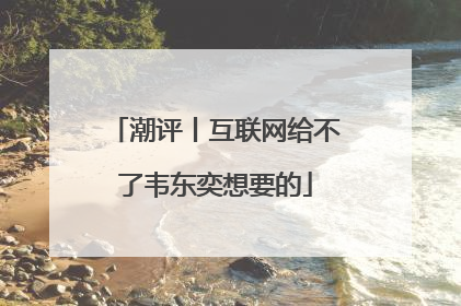 潮评丨互联网给不了韦东奕想要的