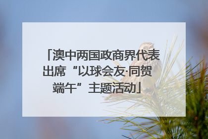 澳中两国政商界代表出席“以球会友·同贺端午”主题活动