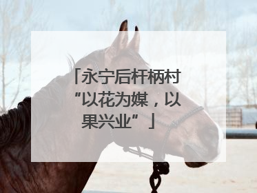 永宁后杆柄村“以花为媒，以果兴业”