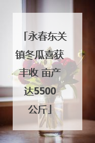 永春东关镇冬瓜喜获丰收 亩产达5500公斤