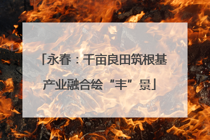 永春：千亩良田筑根基 产业融合绘“丰”景