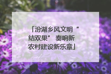 汾湖乡风文明“结双果” 奏响新农村建设新乐章